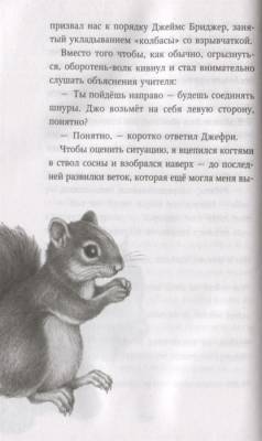 Эл Эксмо ДетиЛеса. Кн.6. День огня.Брандис К.